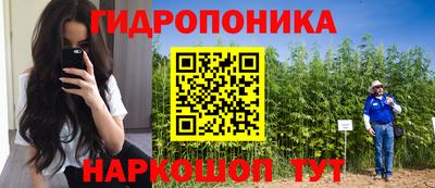гашиш Краснознаменск