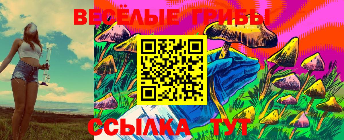Псилоцибиновые грибы мухоморы Арзамас