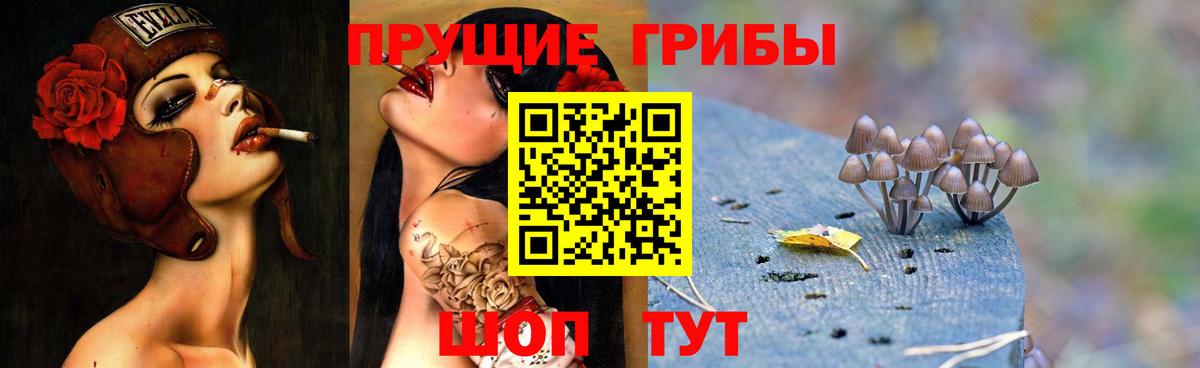 Галлюциногенные грибы Magic Shrooms  Вход с VPN  Арзамас 